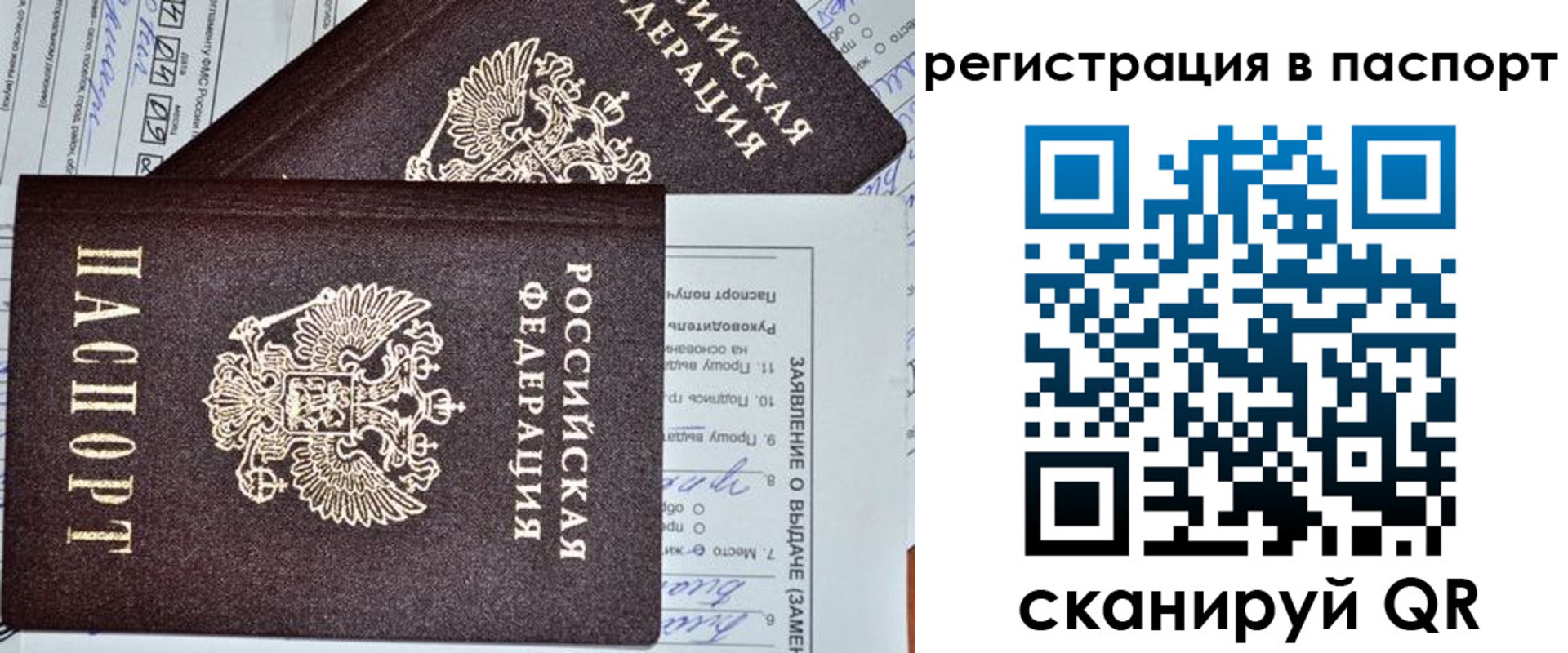 прописка законно в Выборге